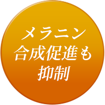 メラニン合成促進も抑制