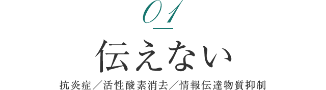 01伝えない 抗炎症／活性酸素消去／情報伝達物質抑制