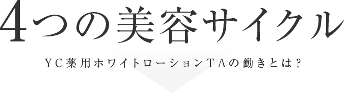 4つの美容サイクル。YC薬用ホワイトローションTAの働きとは？