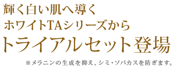 トライアルセット登場