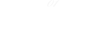 01 セサフラッシュ