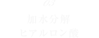 03 加水分解ヒアルロン酸 