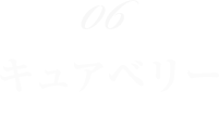 06 キュアベリー 